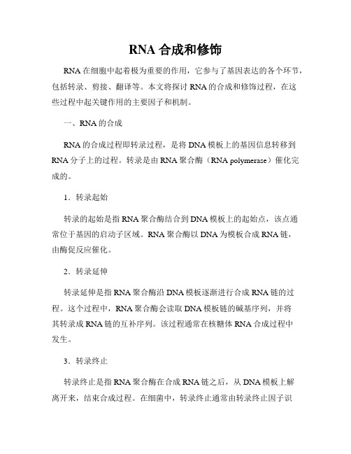 RNA合成和修饰