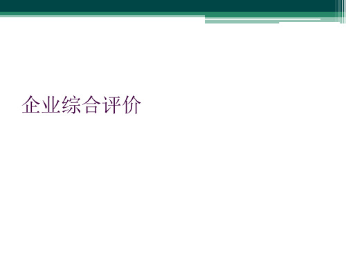 企业综合评价