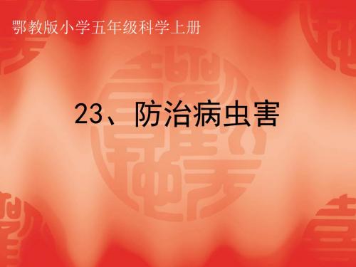【精品】五年级上册科学课件：23防治病虫害 ｜鄂教版  (共15张PPT)