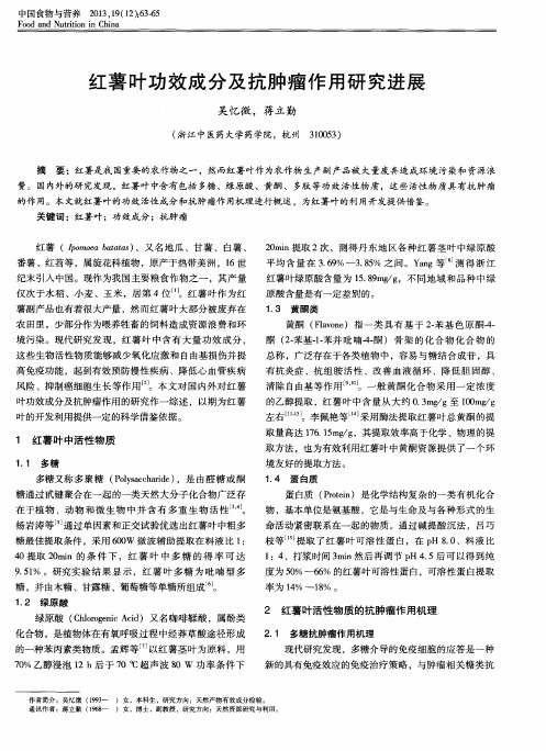 红薯叶功效成分及抗肿瘤作用研究进展