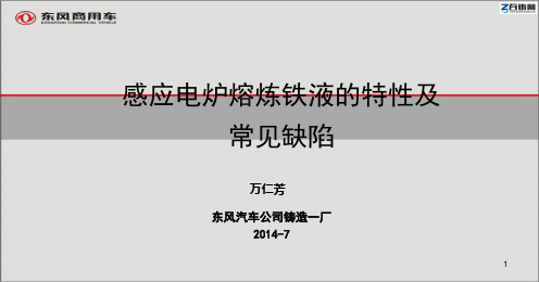 万仁芳 感应电炉熔炼铁液的特性 for 百铸网