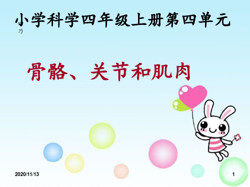 《骨骼关节和肌肉》 ppt课件