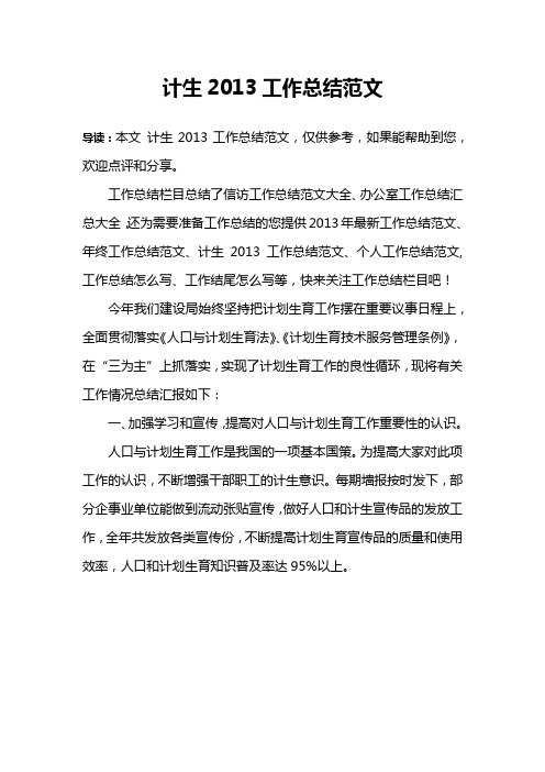 计生2013工作总结范文