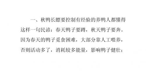 秋冬季怎样养蛋鸭