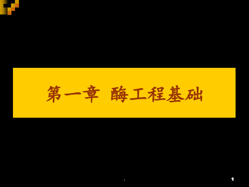 CHAP1-酶工程基础PPT课件