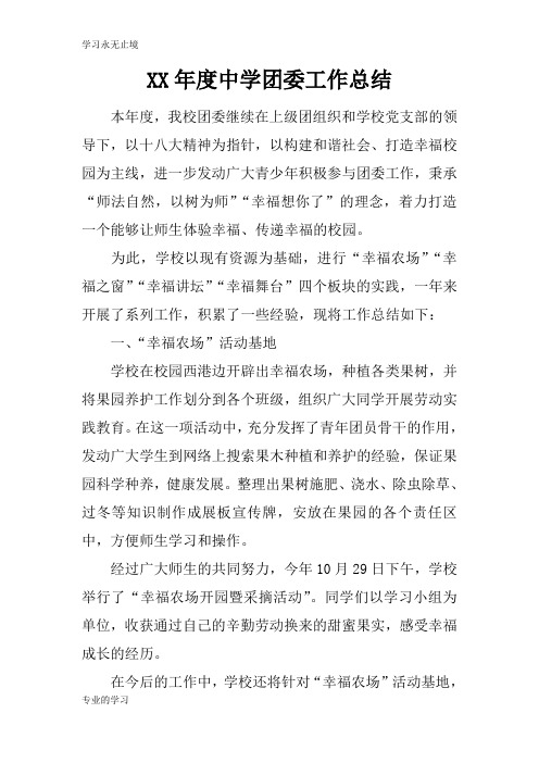 XX年度中学团委工作检查及评价分析研究性工作总结