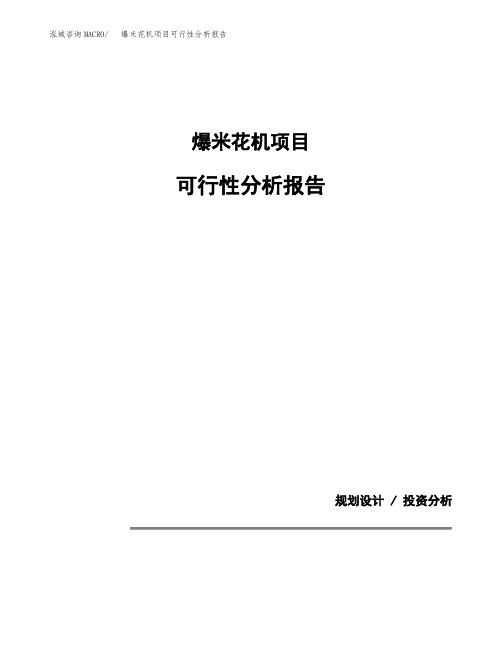 爆米花机项目可行性分析报告(模板参考范文)