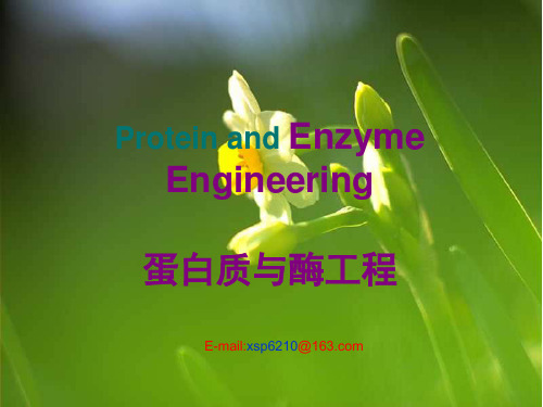 第二章 酶的分离工程
