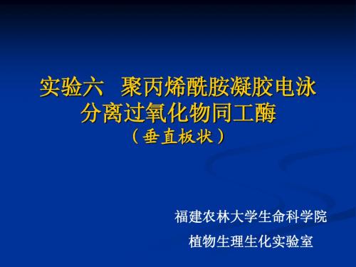 聚丙烯酰胺凝胶电泳分离过氧化物同工酶