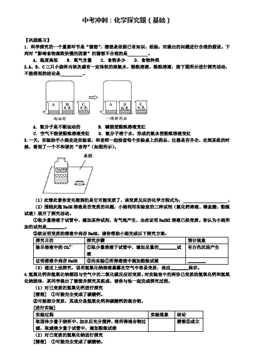 中考化学冲刺复习化学探究题基础巩固练习含解析