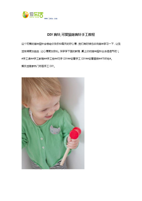 DIY胸针
