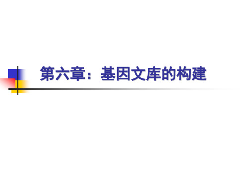 基因文库的构建