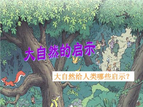 12大自然的启示ppt课件[1]1