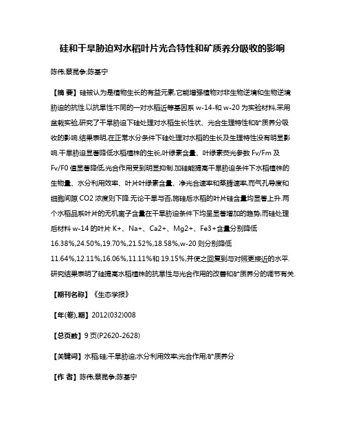 硅和干旱胁迫对水稻叶片光合特性和矿质养分吸收的影响