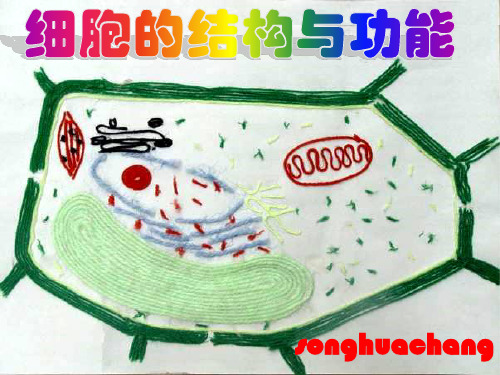 高一生物课件-沪科版高一生命科学3.2《细胞核和细胞器》课件9 最新