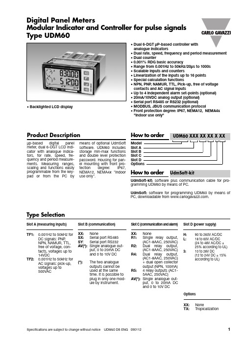 UDM60 DS ENG 090112 1 数字面板表，双六位微处理器基础数字指示器，用于速度、频率