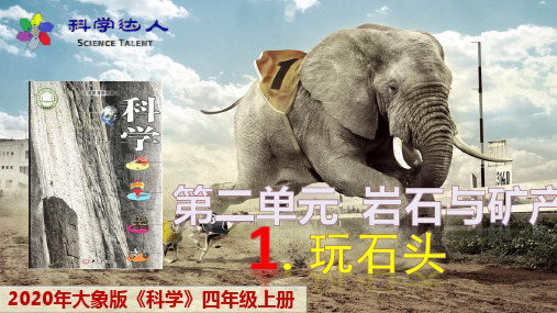 【大象版】科学4上-2.1.玩石头-第二单元岩石与矿物-四年级上册课件