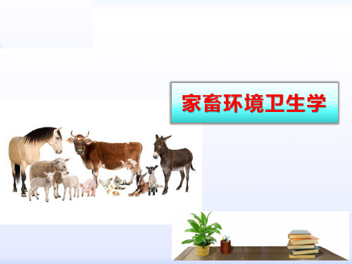 家畜应激--课件