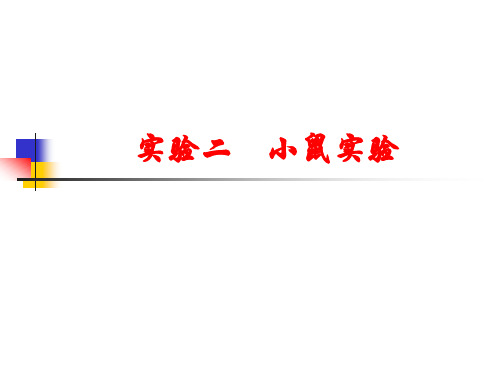 小鼠实验PPT课件