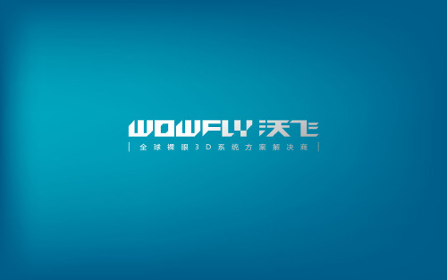 wowfly-profile沃飞裸眼3D