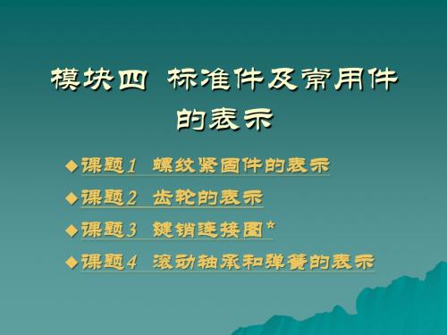 标准件及常用件的表示