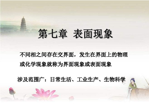 物理化学 表面现象 PPT