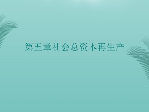 【推荐】第五章社会总资本再生产.2021文档PPT