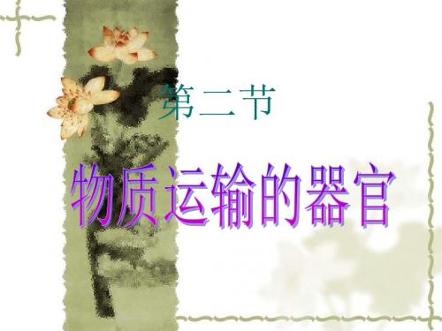 第三章第二节物质运输的器官