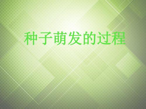 八年级生物上册 第三单元 植物的生活 第一章 种子的萌发和芽.