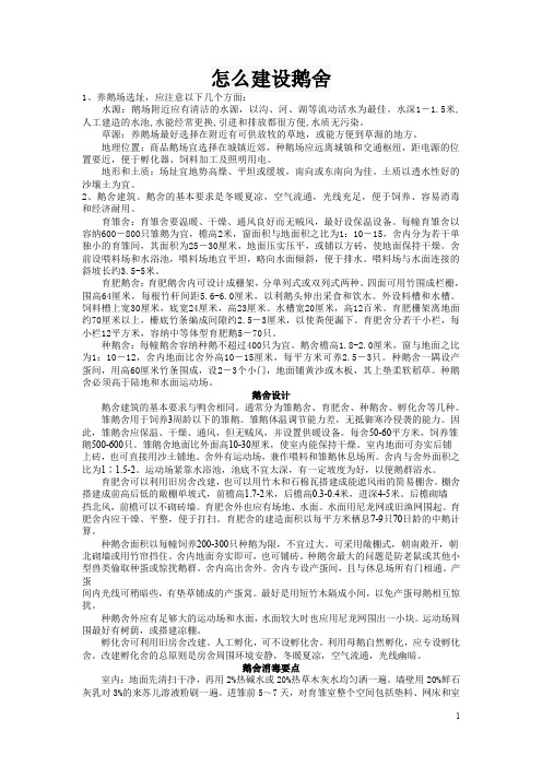 怎么建设鹅舍