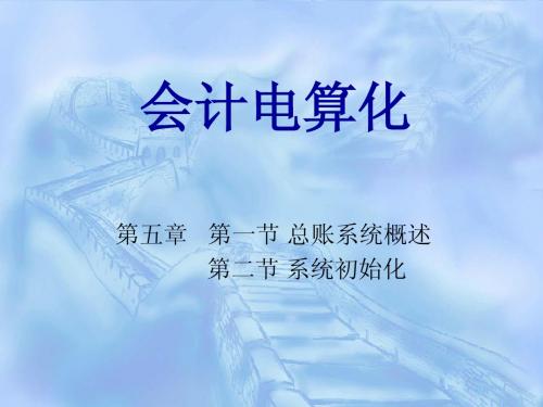 会计电算化第五章