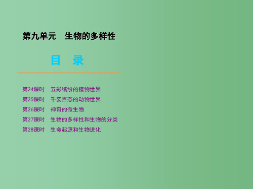 八年级下册 2生物的多样性精品课件 苏教版