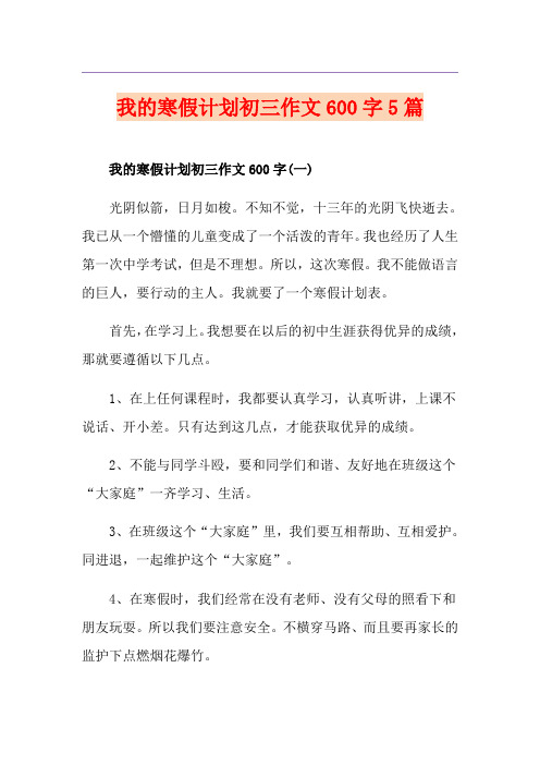 我的寒假计划初三作文600字5篇