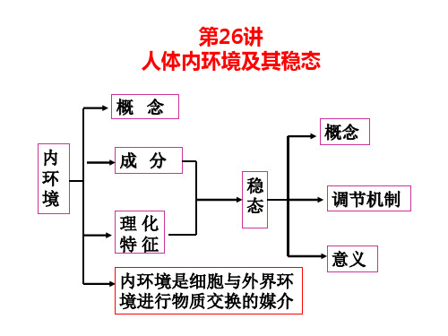 2022届高三一轮复习生物：人体内环境及其稳态课件