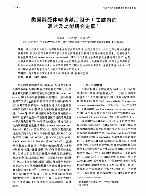 类固醇受体辅助激活因子-1在脑内的表达及功能研究进展