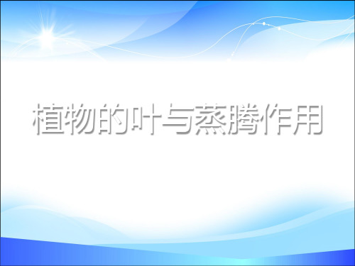 《植物的叶与蒸腾作用》PPT【精品课件】