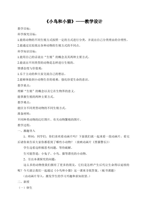 小鸟和小猫教学设计
