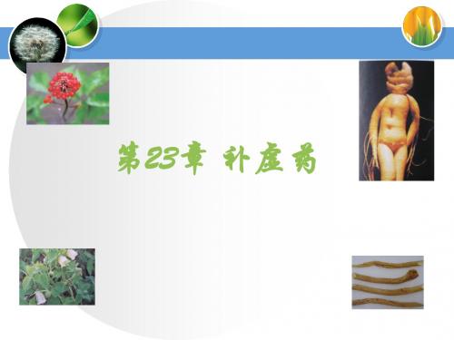第23章 补虚药1模板