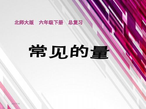 北师大版六年级下册数学《常见的量(总复习)》