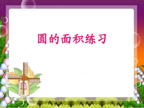 圆的面积练习题