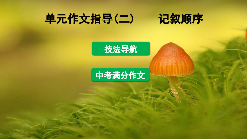 八年级语文下册单元作文指导二记叙顺序课件