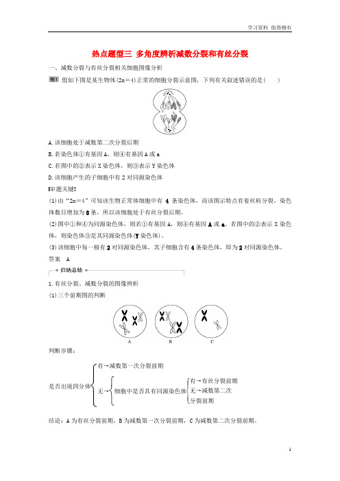 「精品」生物高考大一轮复习热点题型三多角度辨析减数分裂和有丝分裂讲义北师大版