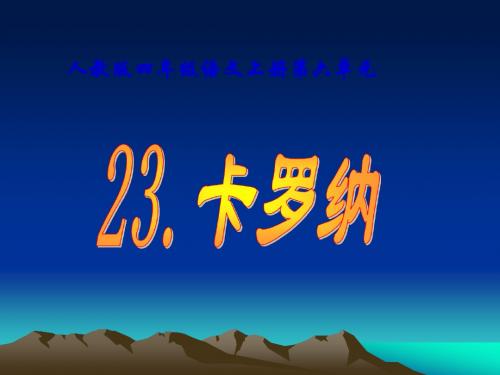 23卡罗纳ppt课件