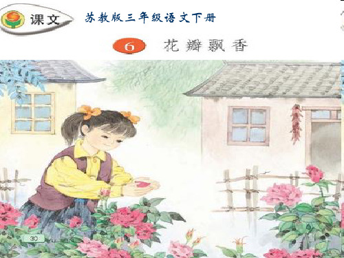 苏教版语文三年级下册：2.6 花瓣飘香 课件(共25张PPT)