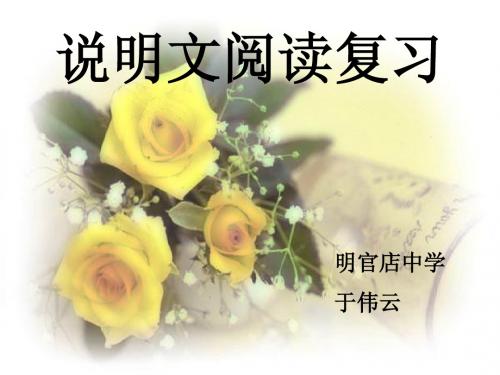说明文阅读课件