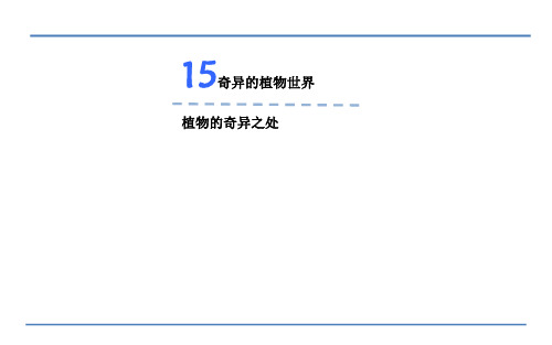 三年级下册语文课件奇异的植物世界_语文S版 (共12张PPT)