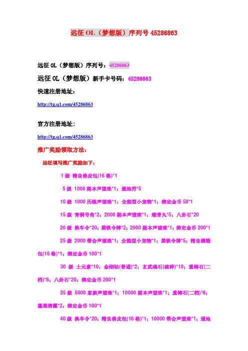 远征OL(梦想版)精英序列号45286863