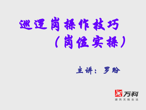 巡逻岗位实操技巧培训.pptx