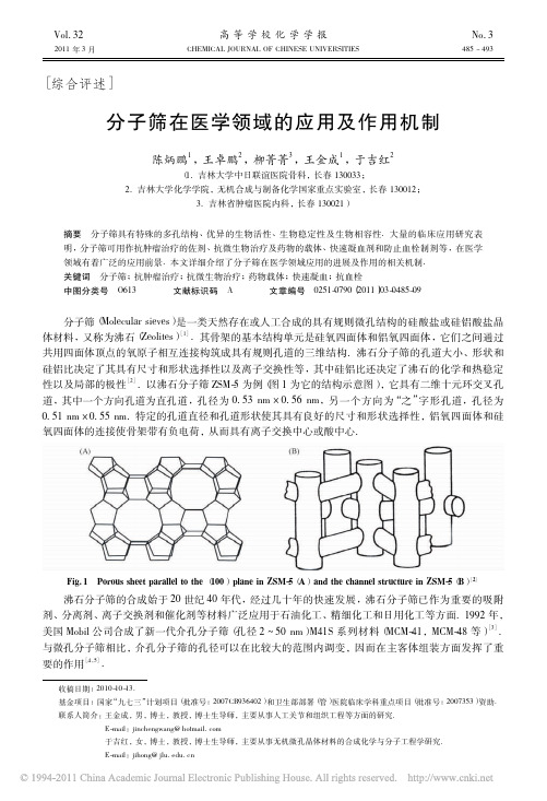 分子筛在医学领域的应用及作用机制_陈炳鹏