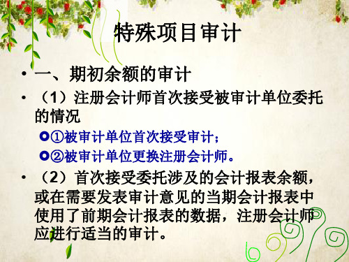 特殊项目审计培训(ppt 117页)